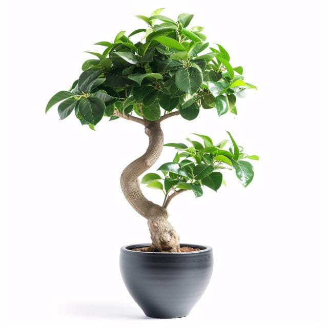 To empower individuals to lead healthier, more fulfilling lives by providing exceptional recovery and after care programs and wellness services through a holistic and personalized approach.
Whether recovering from alcoholism and drug addiction, we offer best 12 step program and in cooperate spirituality